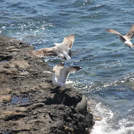 Bed & Breakfast Pozo Gaviota *