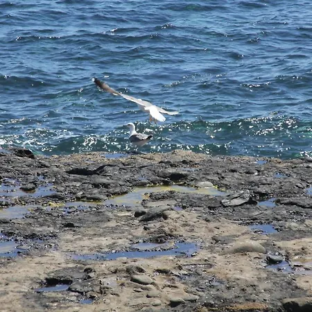 Pozo Gaviota